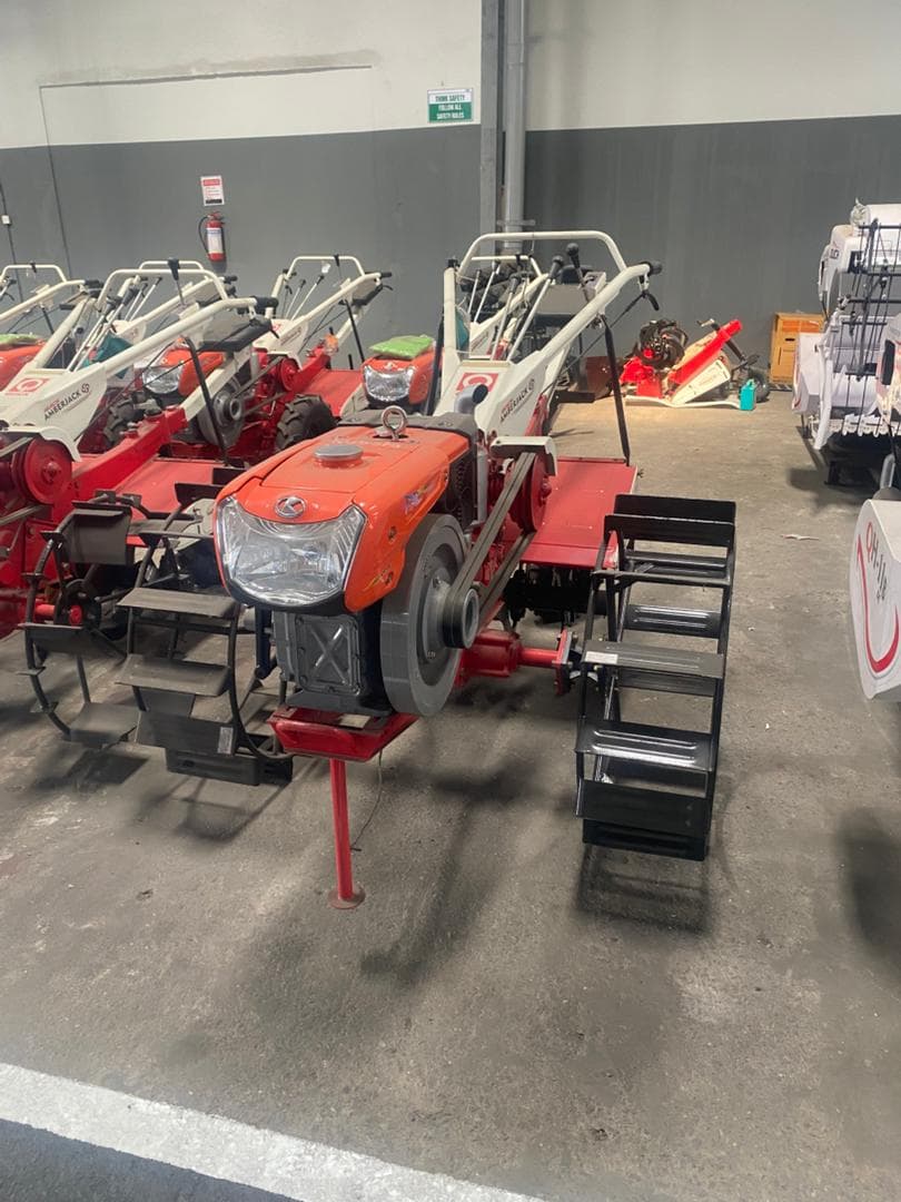 Quick Amberjack — Side Profile