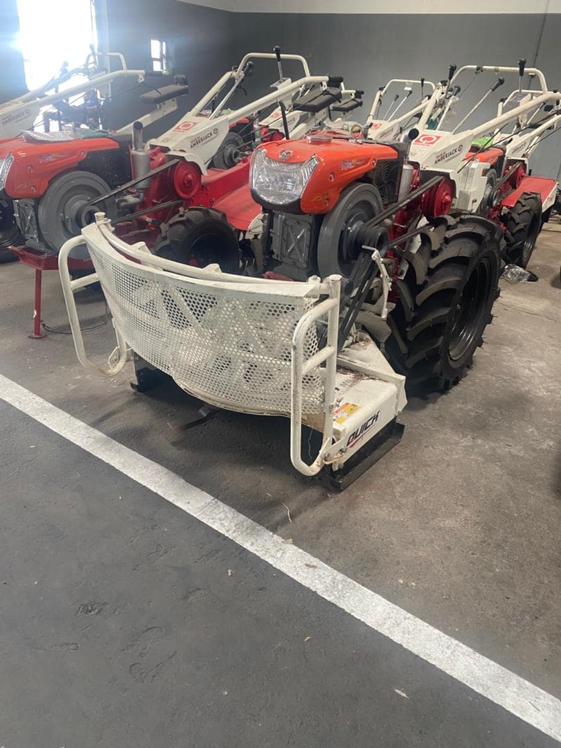 Quick Amberjack — Field Ready